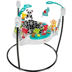 Fisher-Price Jumperoo Activity Center
