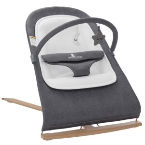 Baby Bouncer Seat 0-12 Months with Elegant Wood Accents, Bouncer Seat for Infants, Portable Infant Bouncer with Inner Mattress & Travel Bag
